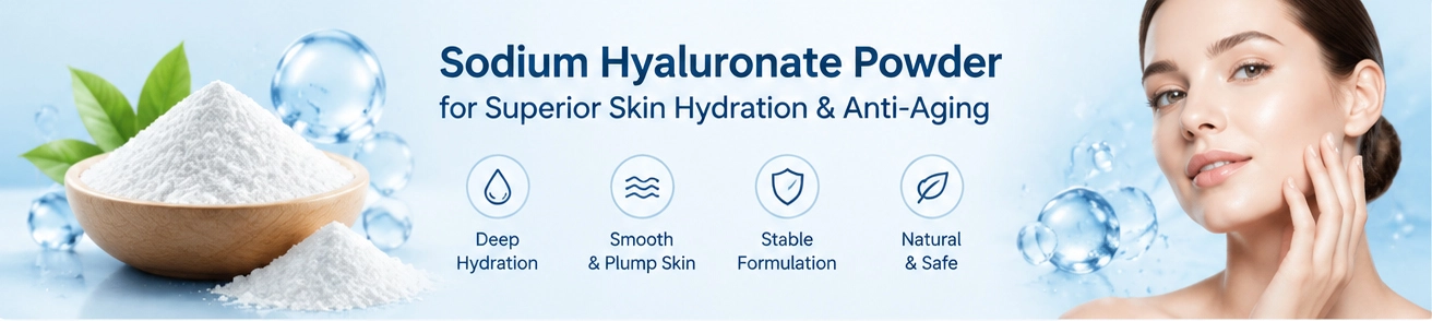 Sodium Hyaluronate Powder supplier Sodium Hyaluronate Powder supplier