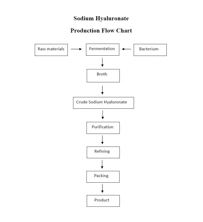 Sodium Hyaluronate Powder flow chart
