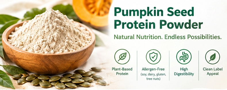 Pumpkin Seed Protein Powder supplier 