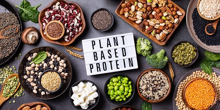 Bulk Brown Rice Protein Powder Bulk Brown Rice Protein Powder