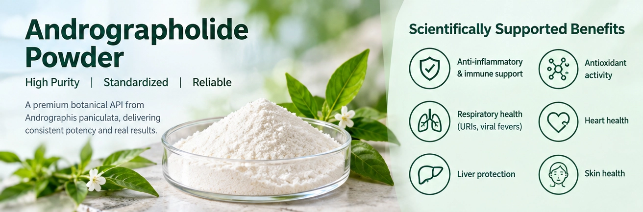 Andrographolide Powder Andrographolide Powder