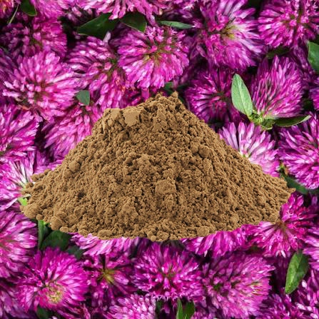 red clover extract powder