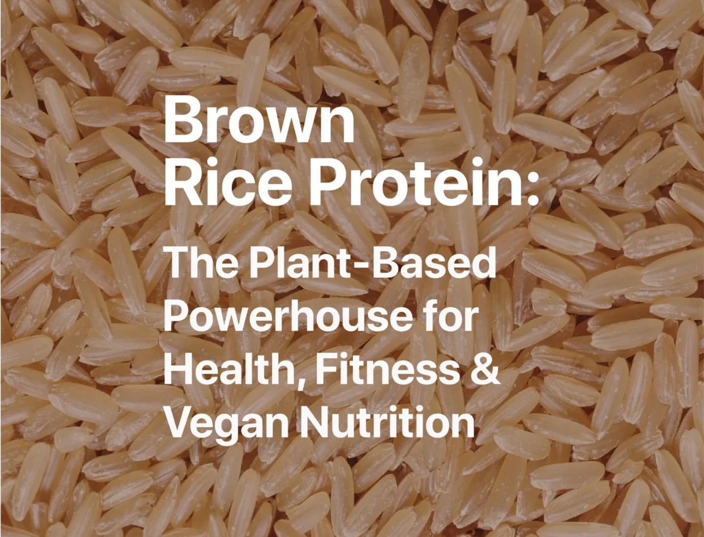 Bulk Brown Rice Protein Powder