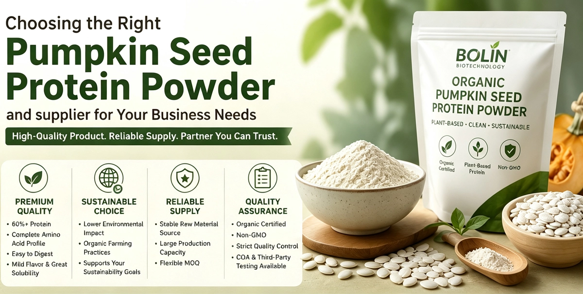 how to choose Pumpkin Seed Protein Powder