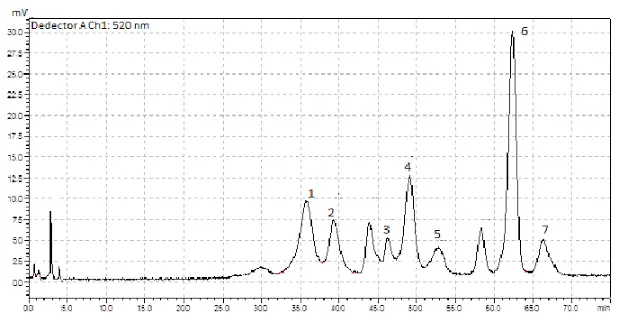 bilberry extract hplc bilberry extract hplc