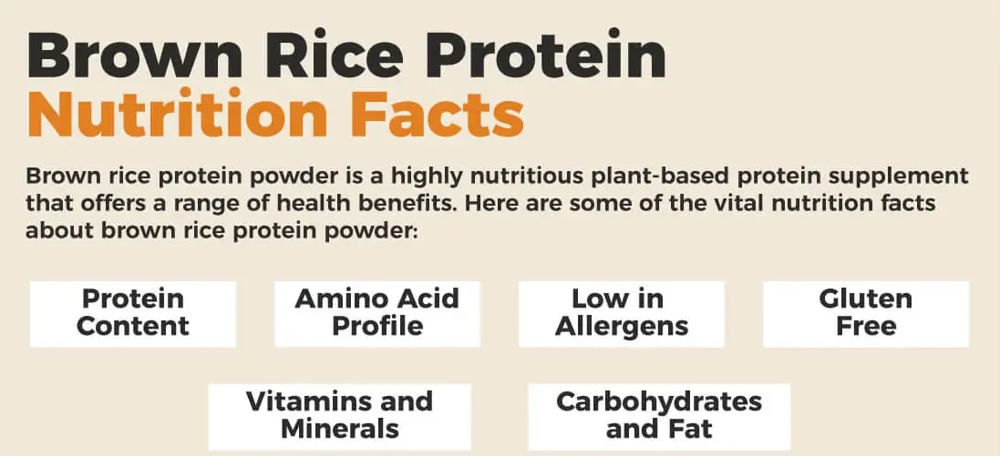 Bulk Brown Rice Protein Powder Nutrition Bulk Brown Rice Protein Powder Nutrition