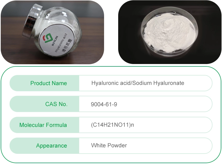 sudium hyaluronate powder