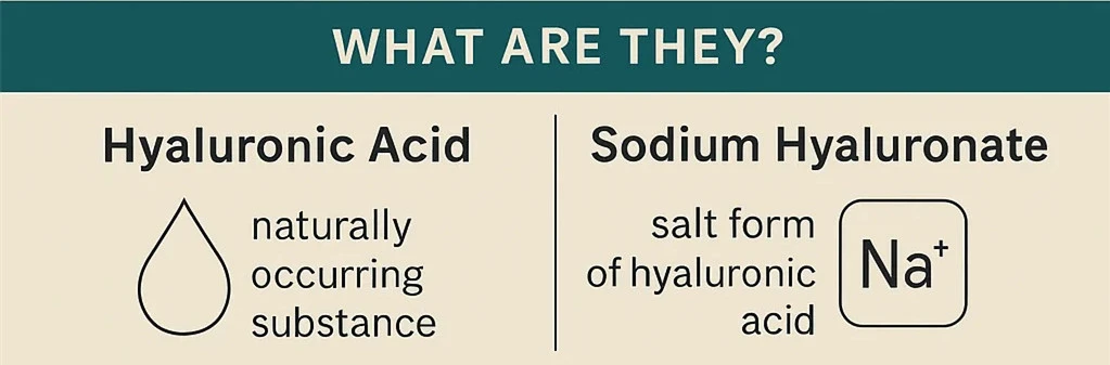 what are Sodium Hyaluronate and Hyaluronic Acid what are Sodium Hyaluronate and Hyaluronic Acid