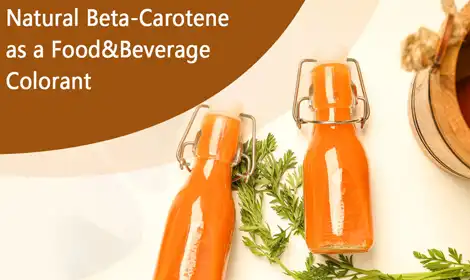 Natural Beta-Carotene as a Food Colorant: Shade Range, Stability, and Application Guidelines