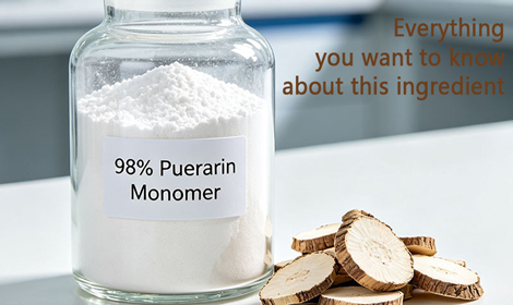 Puerarin Powder Quality Standards: Purity, Testing, and Manufacturing Process