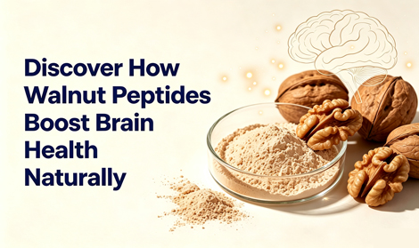 Discover How Walnut Peptides Boost Brain Health Naturally