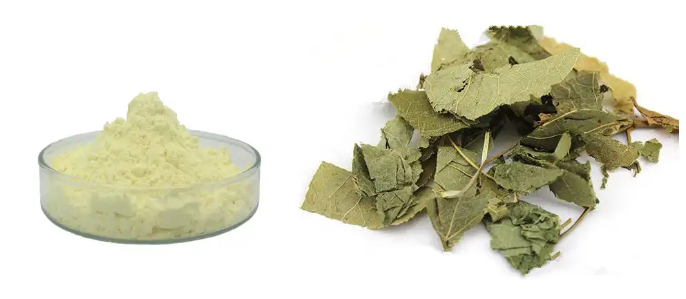 Epimedium Extract Powder Benefits for Men’s Health and Vitality