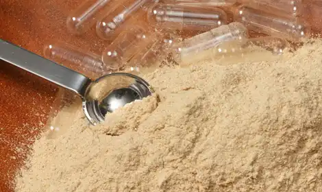 How to Choose a Trusted Astragalus Extract Powder Supplier?