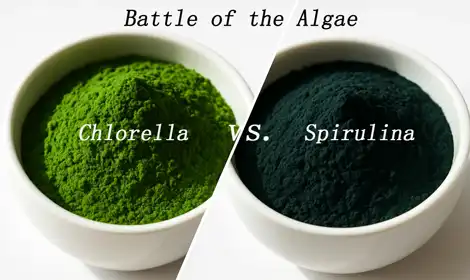 Chlorella vs. Spirulina: What's the Difference?