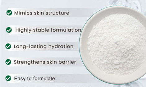 Application Scenarios for Taurine Powder in Energy Drinks, Supplements, and Pet Nutrition