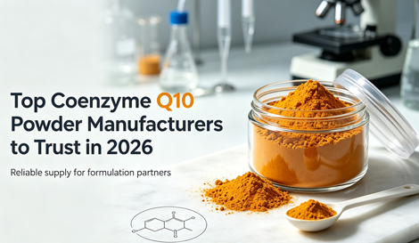 Top Coenzyme Q10 Powder Manufacturers to Trust in 2026?