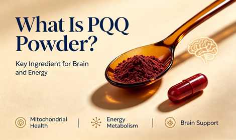 What Is PQQ Powder? A Key Ingredient for Brain and Energy Health Supplements