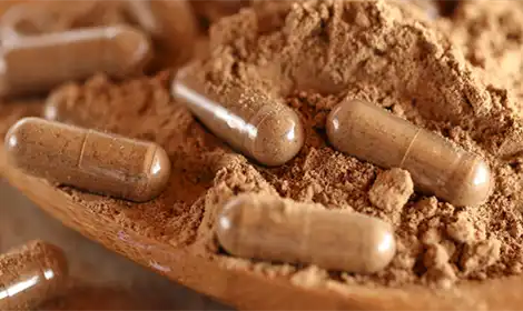 ການນຳໃຊ້ສານສະກັດຈາກ Kacip Fatimah ໃນອາຫານເສີມສະໝຸນໄພ