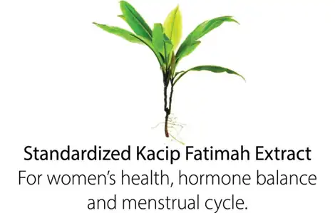 Vì sao chiết xuất Kacip Fatimah lại phổ biến trong các sản phẩm chăm sóc sức khỏe phụ nữ?