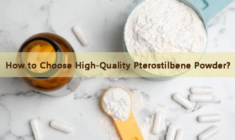 How to Choose High-Quality Pterostilbene Powder for Supplement Manufacturing