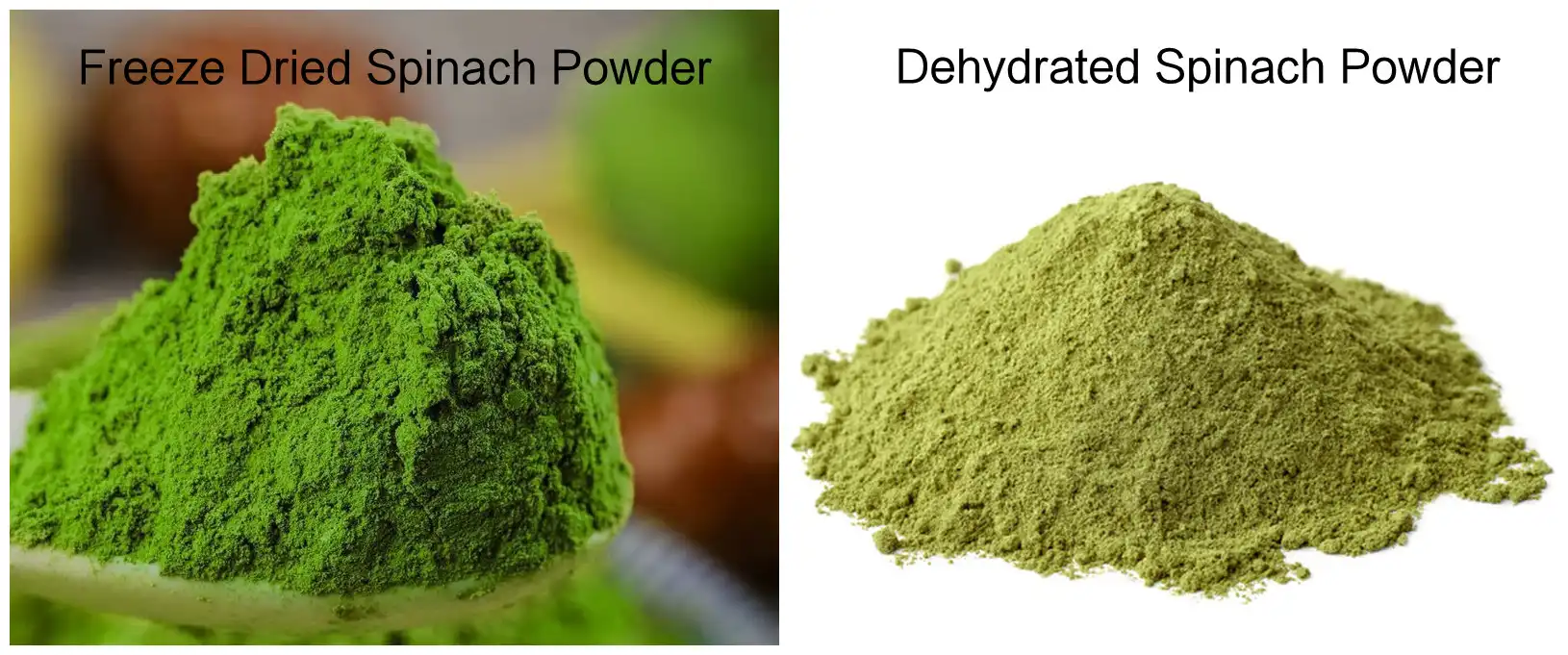 Bột rau bina sấy đông lạnh so với bột rau bina sấy khô