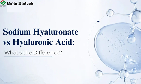 Sodium Hyaluronate vs Hyaluronic Acid: Key Differences Explained