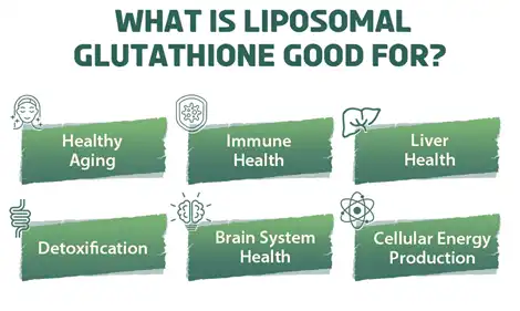 Kijan Liposomal Glutathione Sipòte Sante Fwa ak Selilè?