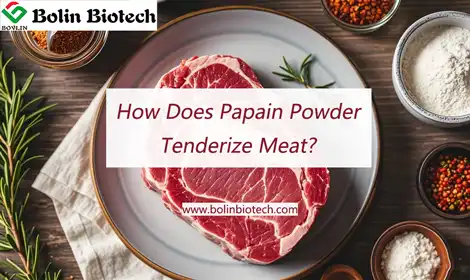 Papain Enzyme Powder: How It Enhances Meat Tenderizing Efficiency?