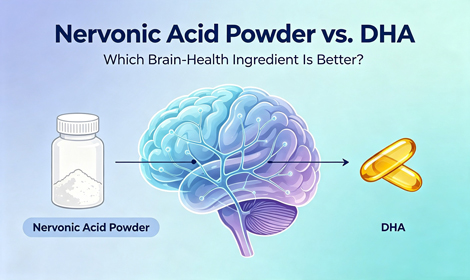 Nervonic Acid Powder vs. DHA: Which Brain-Health Ingredient Is Better?