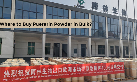 Where to Buy Puerarin Powder in Bulk: Sourcing Tips