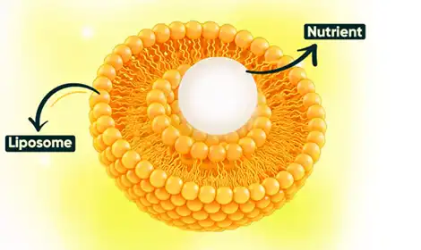 Ki benefis CoQ10 lipozomal yo?