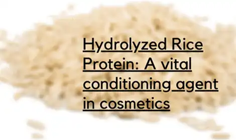 What is Hydrolyzed Rice Protein Powder In Skincare?