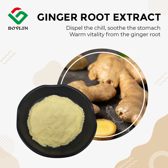 Best Ginger Root Extract Powder