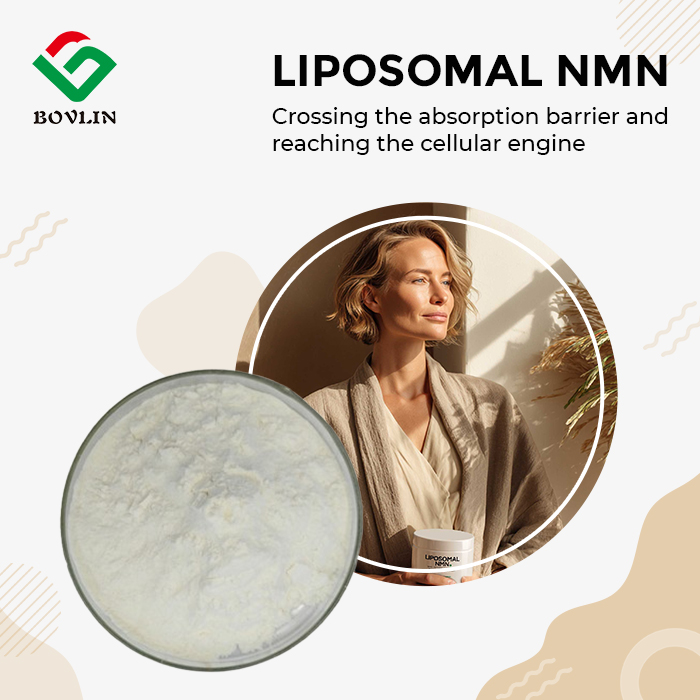 Liposomal NMN