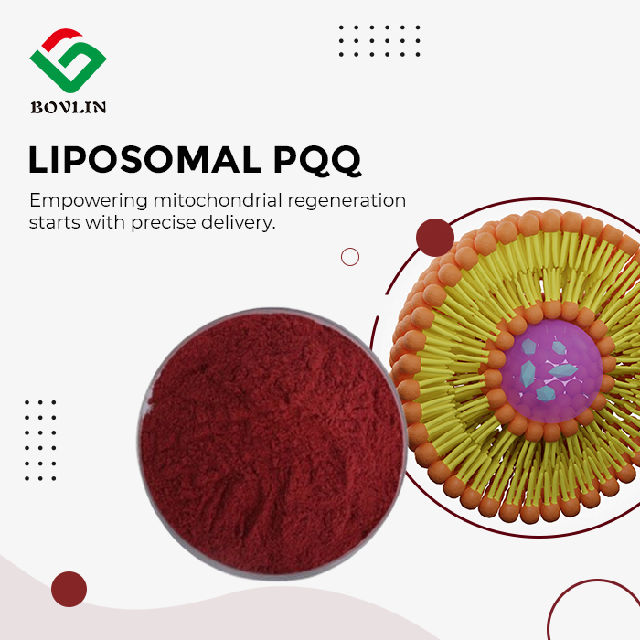 Liposomal PQQ