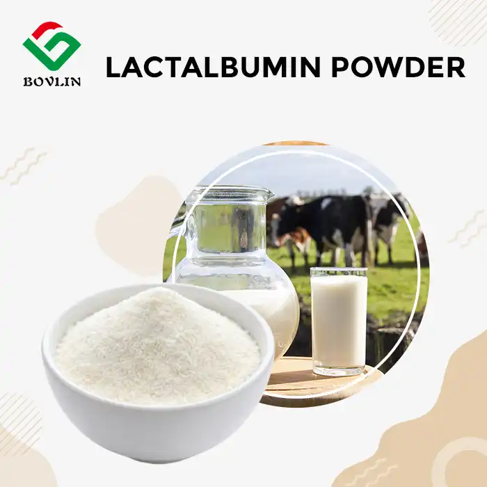 lactalbumin powder lactalbumin powder