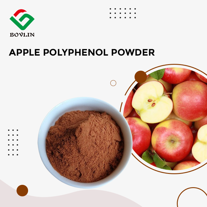 Apple Polyphenol Powder