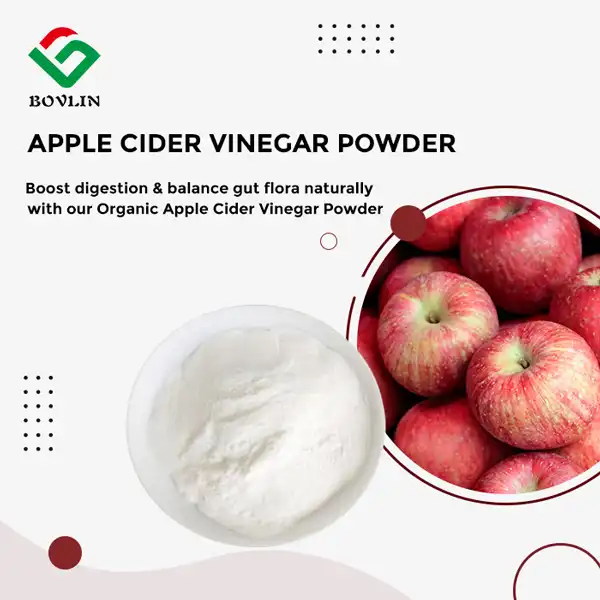 Organic Apple Cider Vinegar Powder