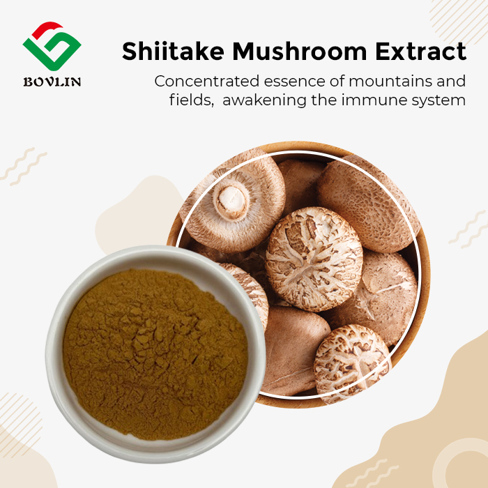 Shiitake Mushroom Extract Powder