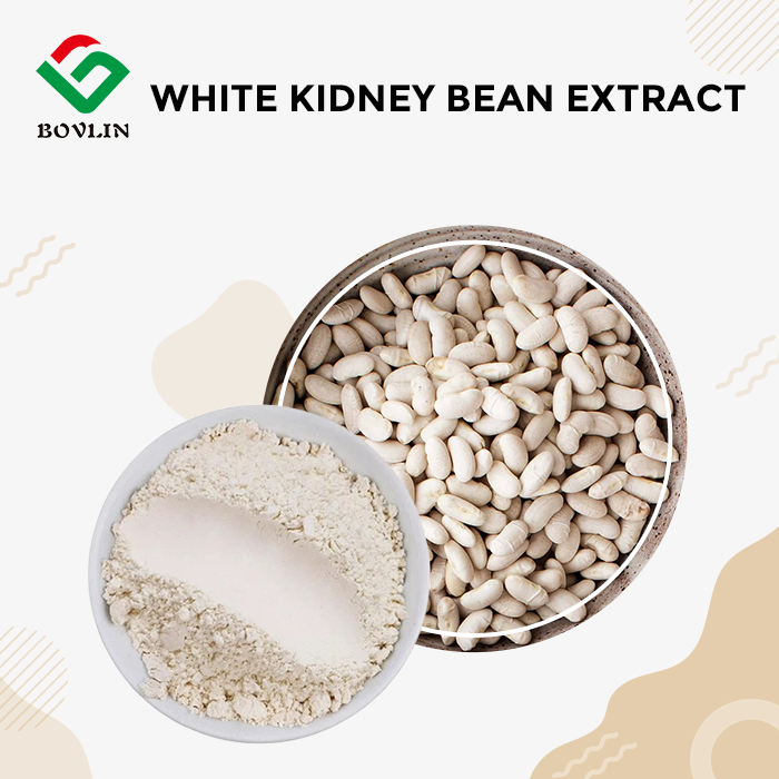 Pure White Kidney Bean Extract