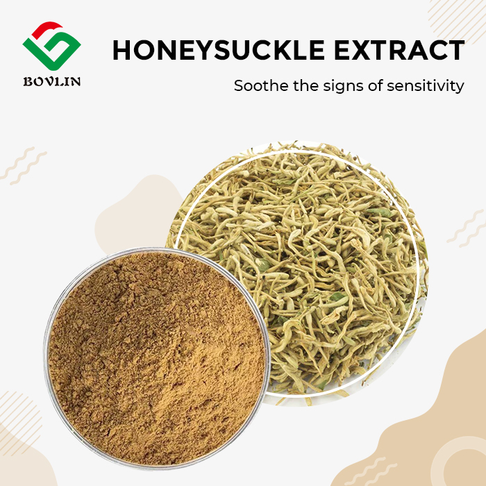 Honeysuckle Extract