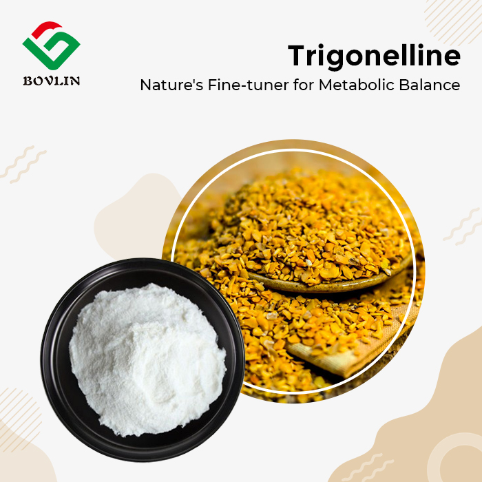 Trigonelline