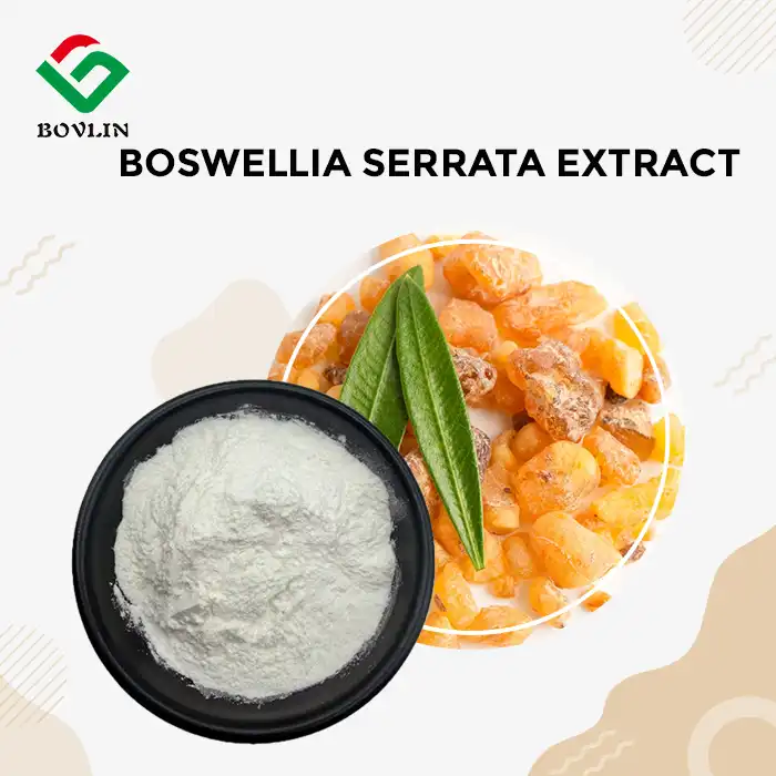 Bulk Boswellia Serrata Extract Powder Bulk Boswellia Serrata Extract Powder