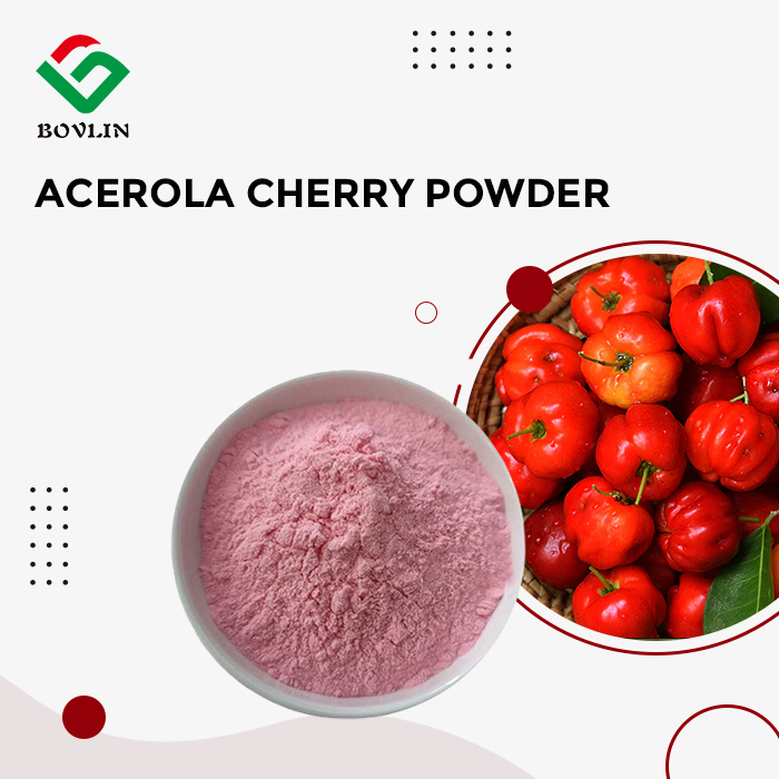 Organic Acerola Cherry Powder