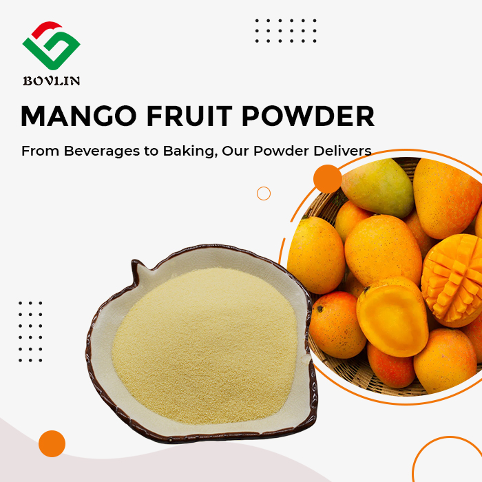 Mango Fruit Powder Mango Fruit Powder