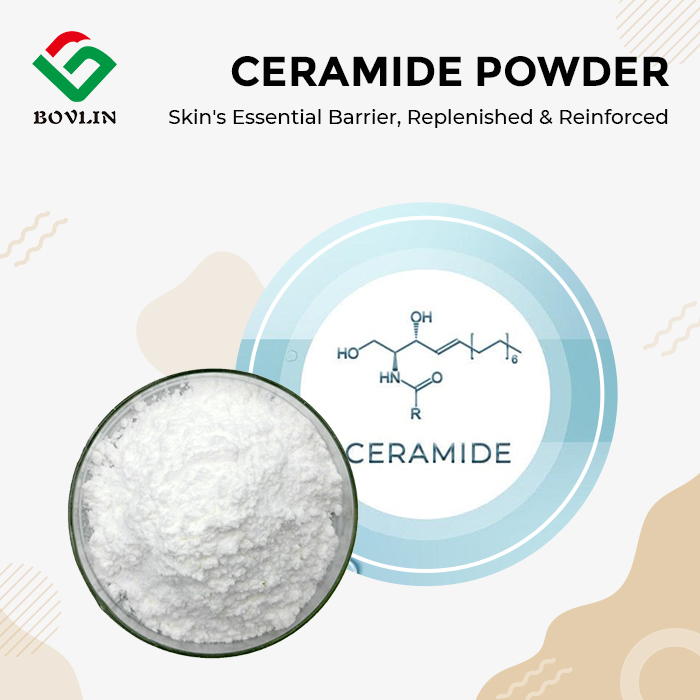 Ceramide Powder