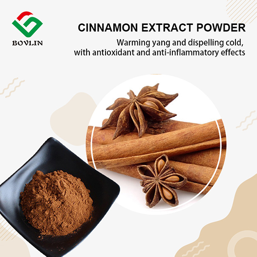 Cinnamon Extract Pùdar