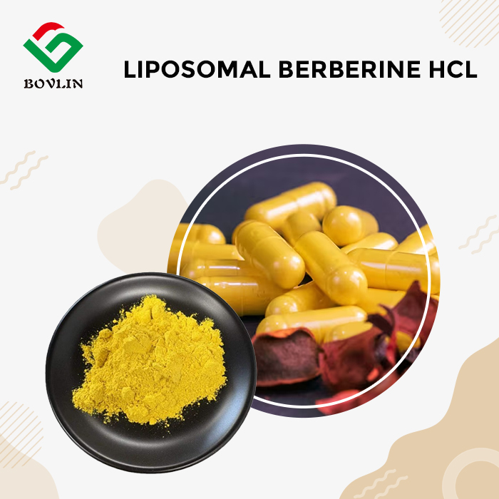 Liposomal Berberine hydrochloride