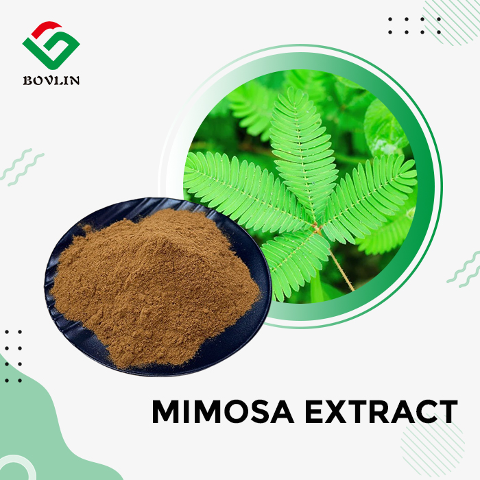 Mimosa Extract