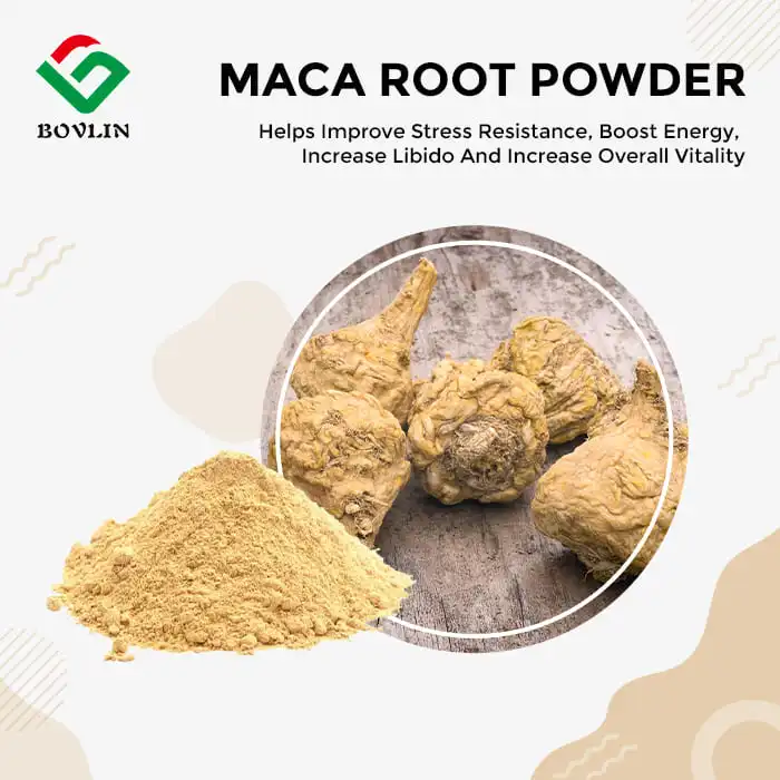 Maca Root Extract Powder Customized Wholesale Bulk - Bolin